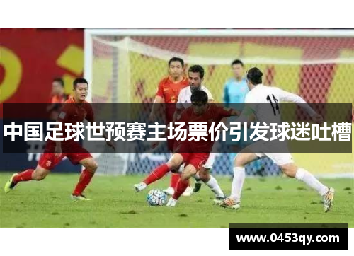中国足球世预赛主场票价引发球迷吐槽